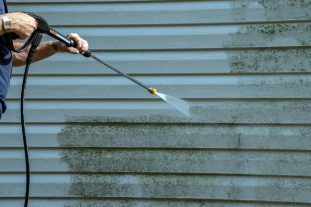 Best Roof Pressure Washing  in Johnsonburg, PA