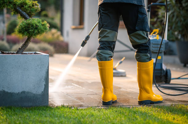 Best Local Pressure Washing Services  in Johnsonburg, PA